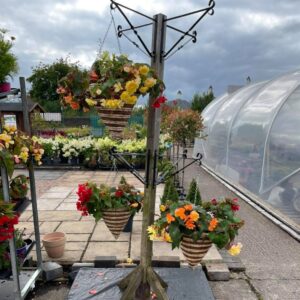 Quay Garden Structures 3