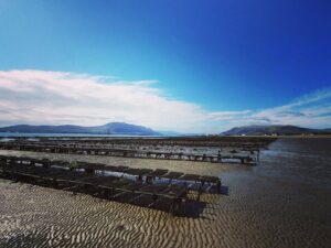 Milne Holiday Parks 1