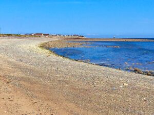 Silvercove Holiday Park 11