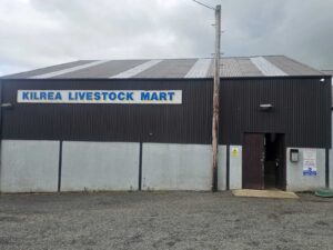 H.A. McIlrath & Sons Ltd Kilrea 12