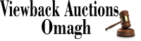 Viewback Auctions logo