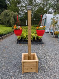 Carrive Grove Garden Centre 4