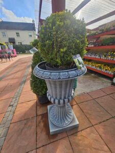 Carrive Grove Garden Centre 9
