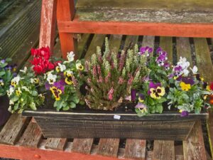 Carrive Grove Garden Centre 13