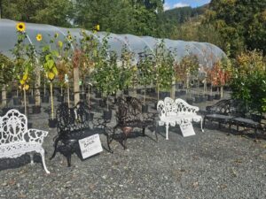 Carrive Grove Garden Centre 15