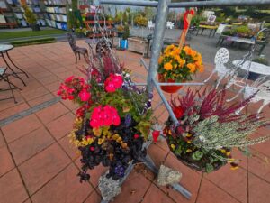 Carrive Grove Garden Centre 17