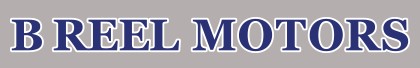 B. Reel Motors logo