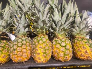 Roots and Fruits 6