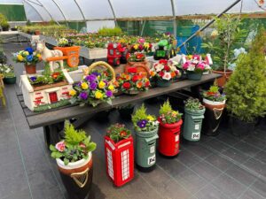 Dazzle Garden Centre 2