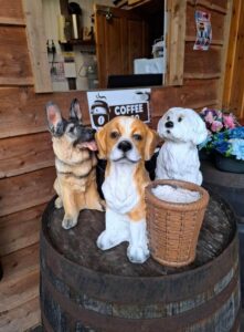 Dazzle Garden Centre 8