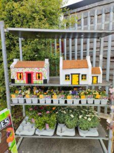 Dazzle Garden Centre 9