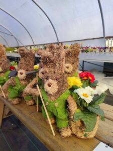 Dazzle Garden Centre 3
