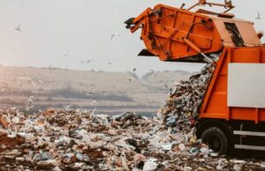 A Q Skip Hire 5